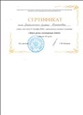 Сертификат об участии в семинаре " Проектирование адаптированных образовательных программ для школьников с ОВЗ в соответствии с ФГОС"